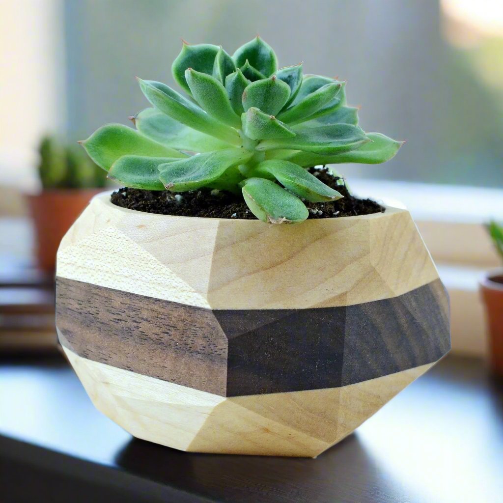 Geometric Cactus & Succulent Copper Planter Stand